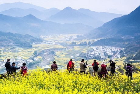 【相約江西】廬山鄱陽湖景德鎮婺源篁嶺3日游天天發團，新出鮮品，經典連線游，不走回頭路。