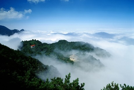 南昌到廬山1日游天天發(fā)團(tuán)，經(jīng)典純玩，還原純凈旅游，美廬別墅+會址+花徑+錦繡谷+三寶樹